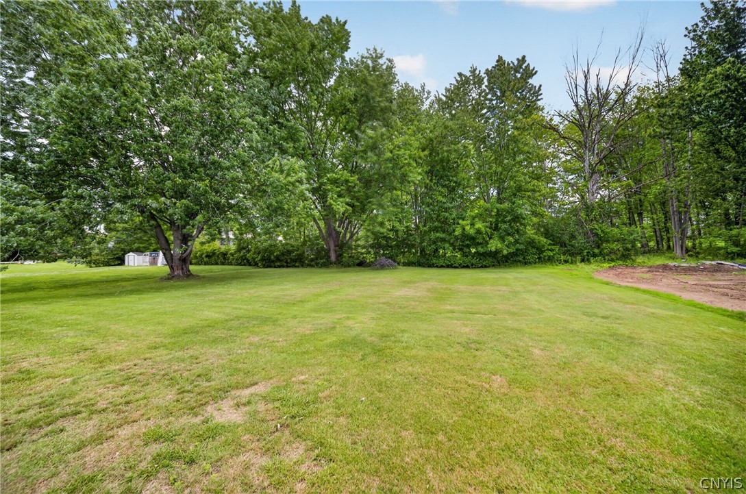 8770 Weaver Road Cicero, NY 13029 - Photo 45 of 47 Large Yard