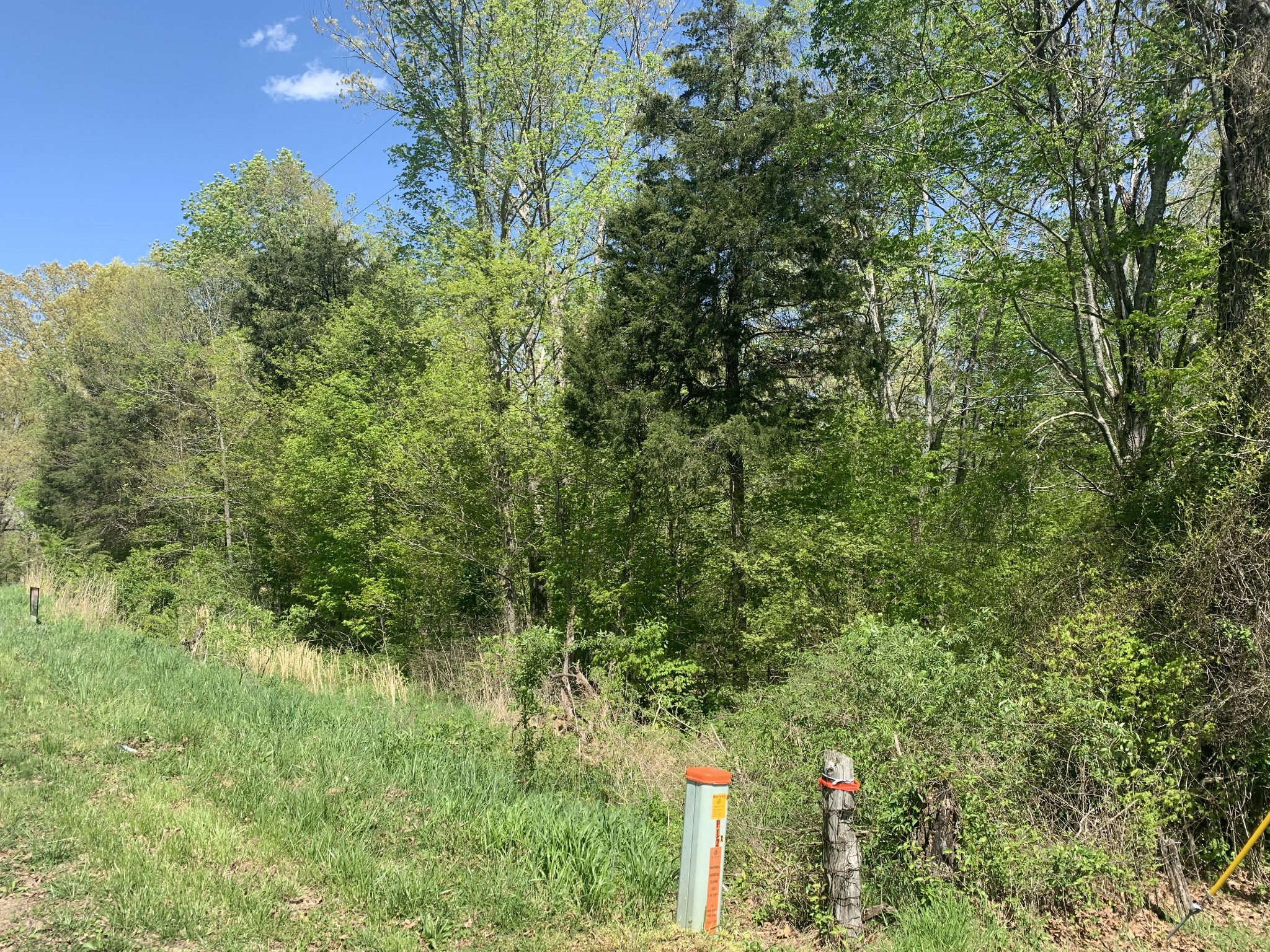 0 Mc Gee Road Lyles, TN 37098 - Photo 3 of 5 a view of a lush green forest