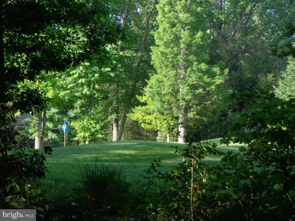 183 Windjammer Road Berlin, MD 21811 - Photo 17 of 18 a view of a grassy field with trees