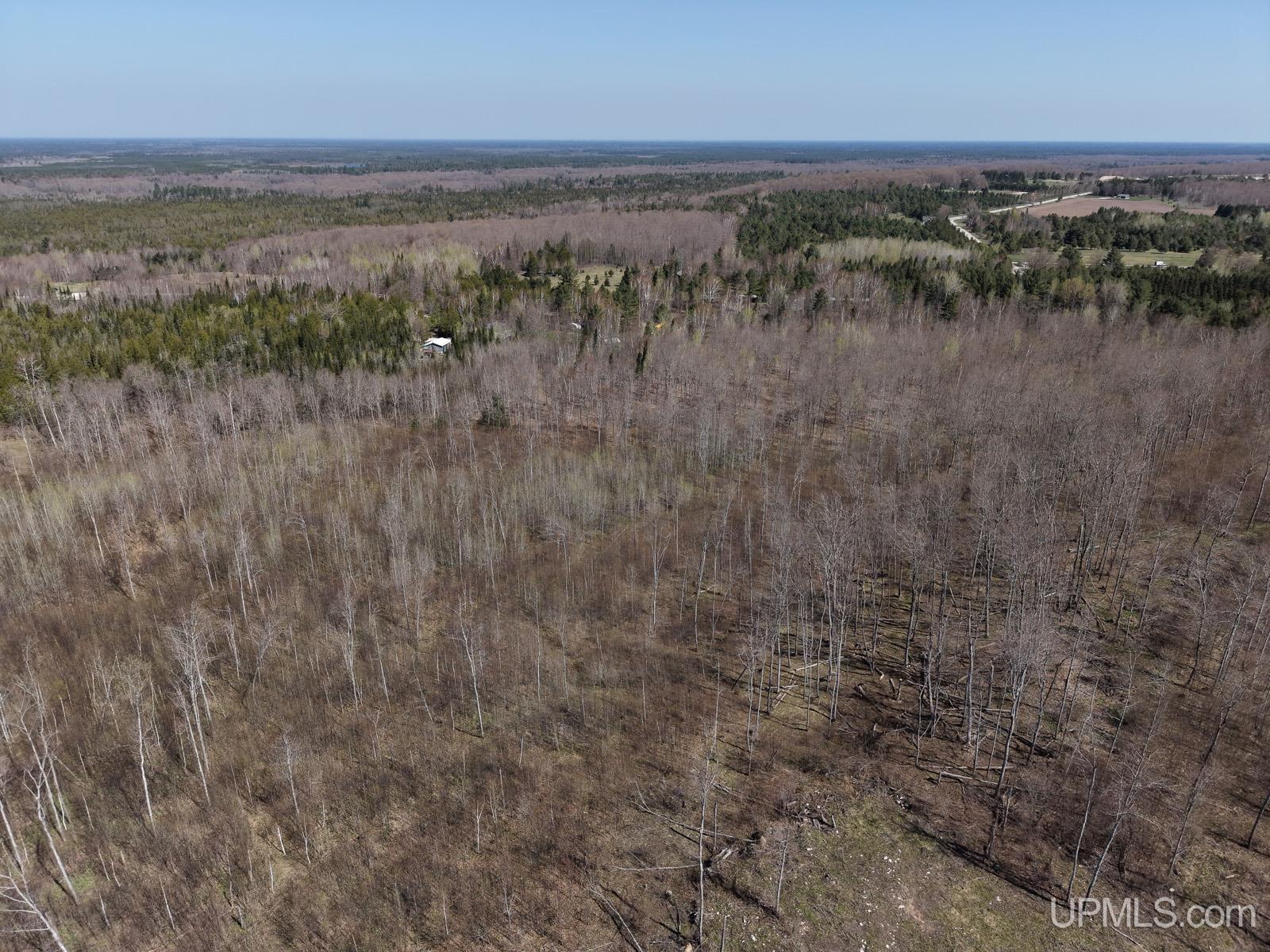 2493 Letson Road Gulliver, MI 49840 - Photo 41 of 56