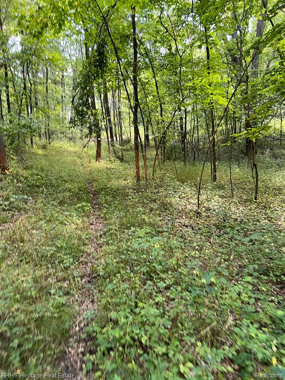 9515 Grossman Road Manchester, MI 48158 - Photo 3 of 17