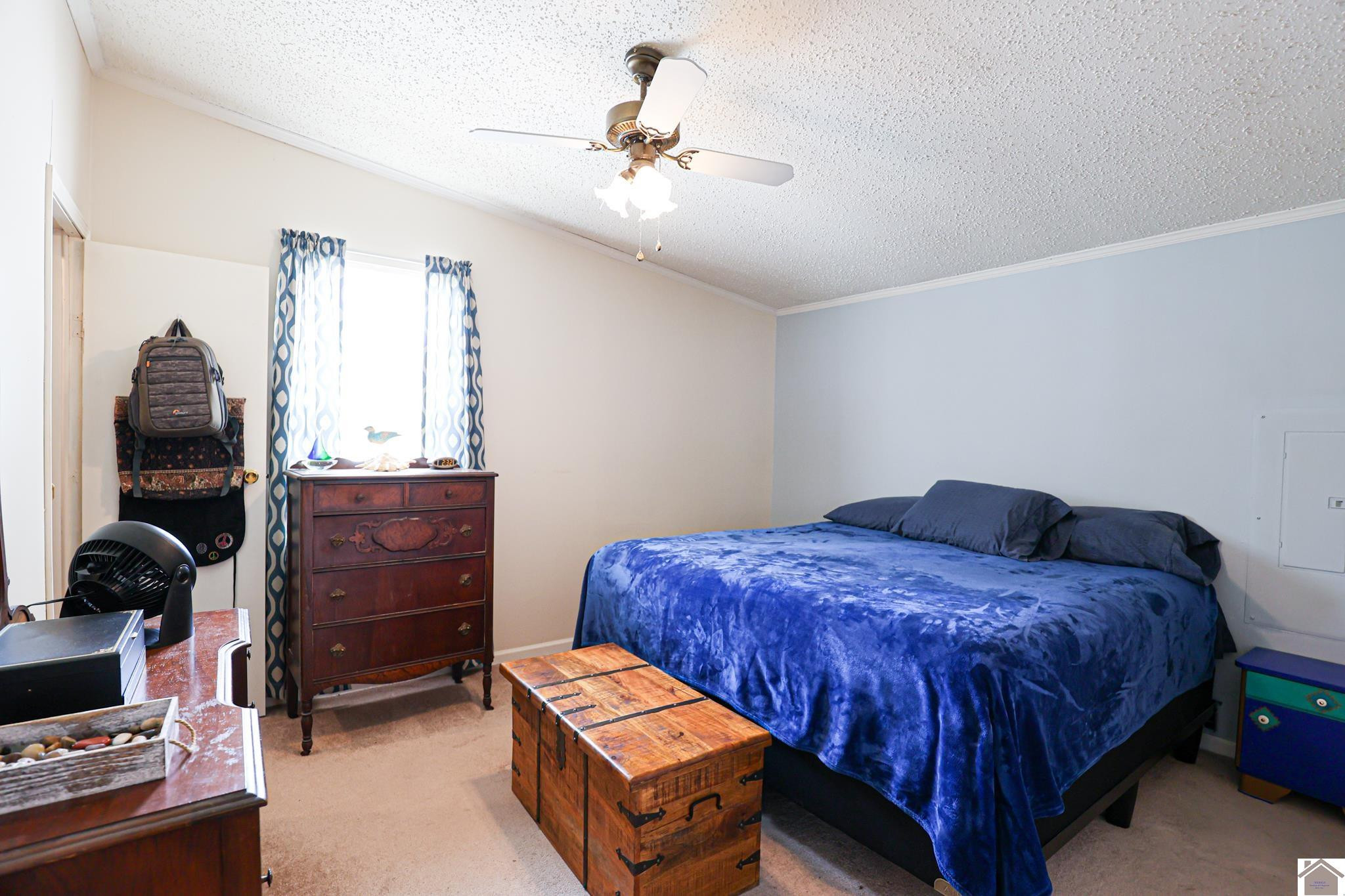 716 Milliken Road Paducah, KY 42003 - Photo 23 of 35 Primary Bedroom