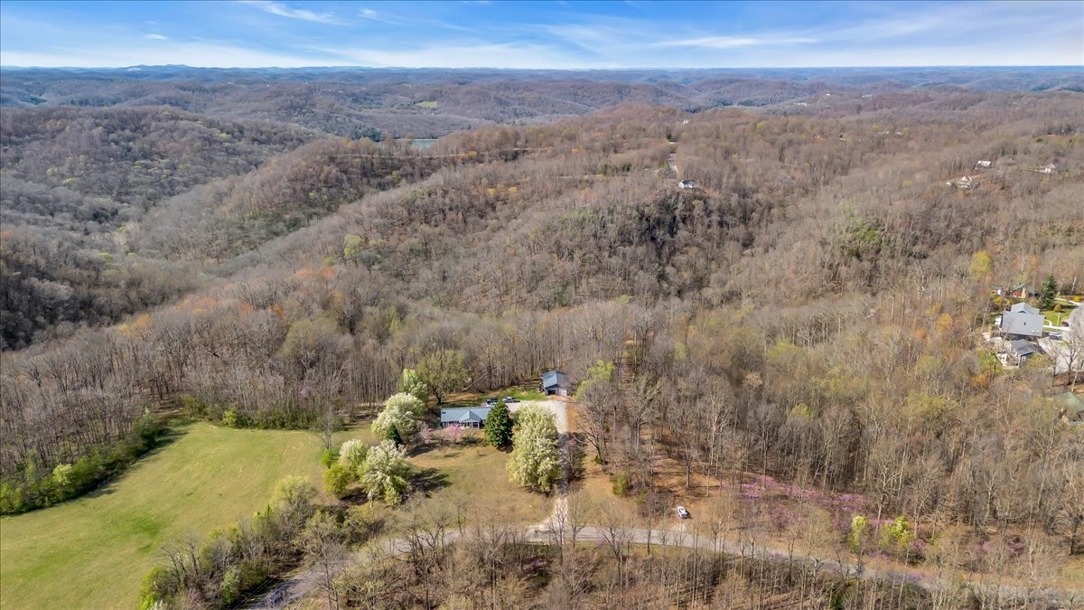 1389 Coconut Ridge Road Smithville, TN 37166 - Photo 3 of 61