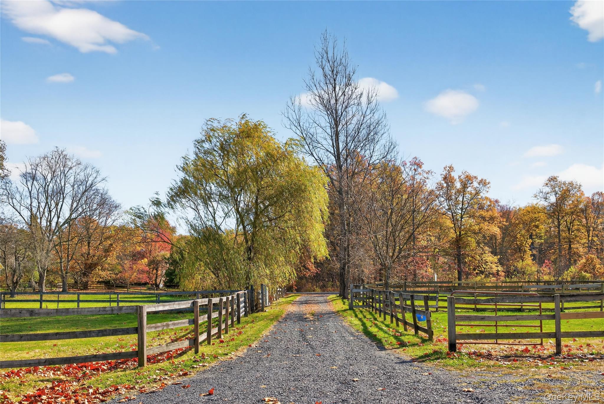 99 Dusinberre Road Gardiner, NY 12525 - Photo 28 of 31 a view of a park with large trees