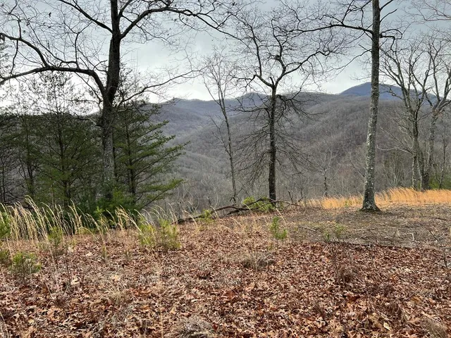$99,000 | Lot 137 Shiloh, Hayesville, NC 28904