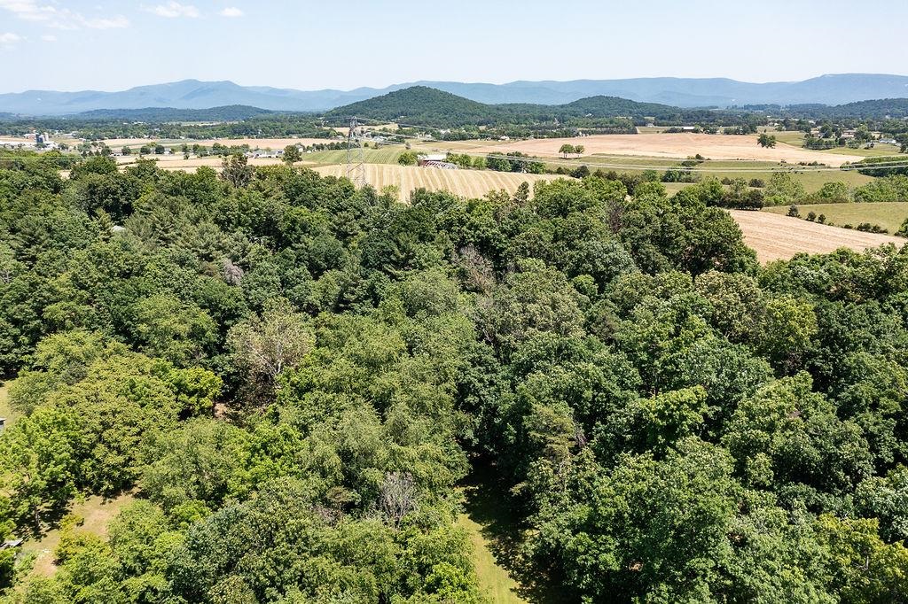 89 Swisher Road Staunton, VA 24401 - Photo 75 of 75 a view of lake and mountain