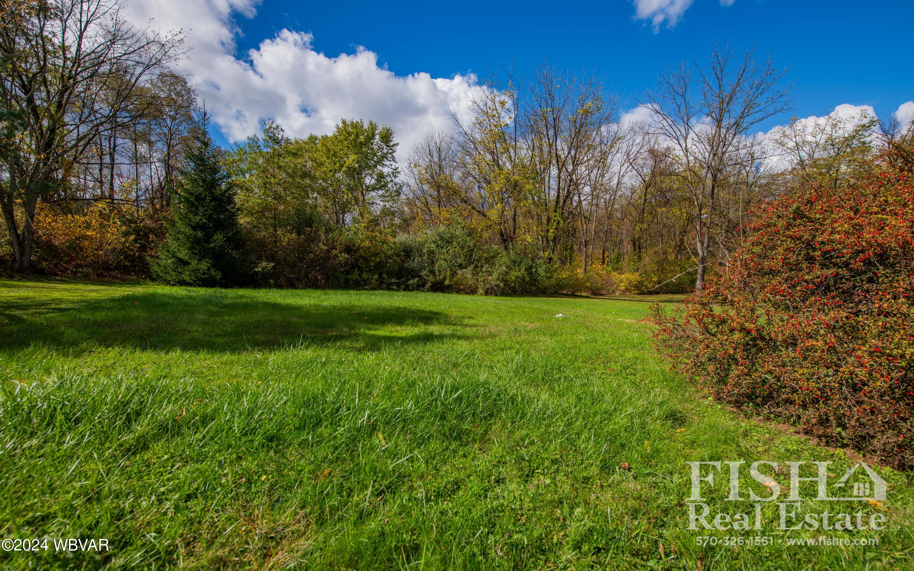 91 Odell Road, Unit G3 Muncy, PA 17756 - Photo 7 of 18 DSC_8891