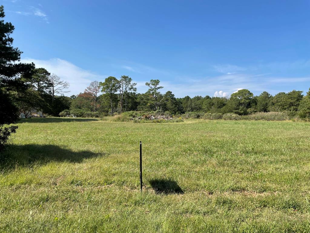 Lot 55 Back Creek Road, Unit 55B Hacksneck, VA 23358 - Photo 7 of 20