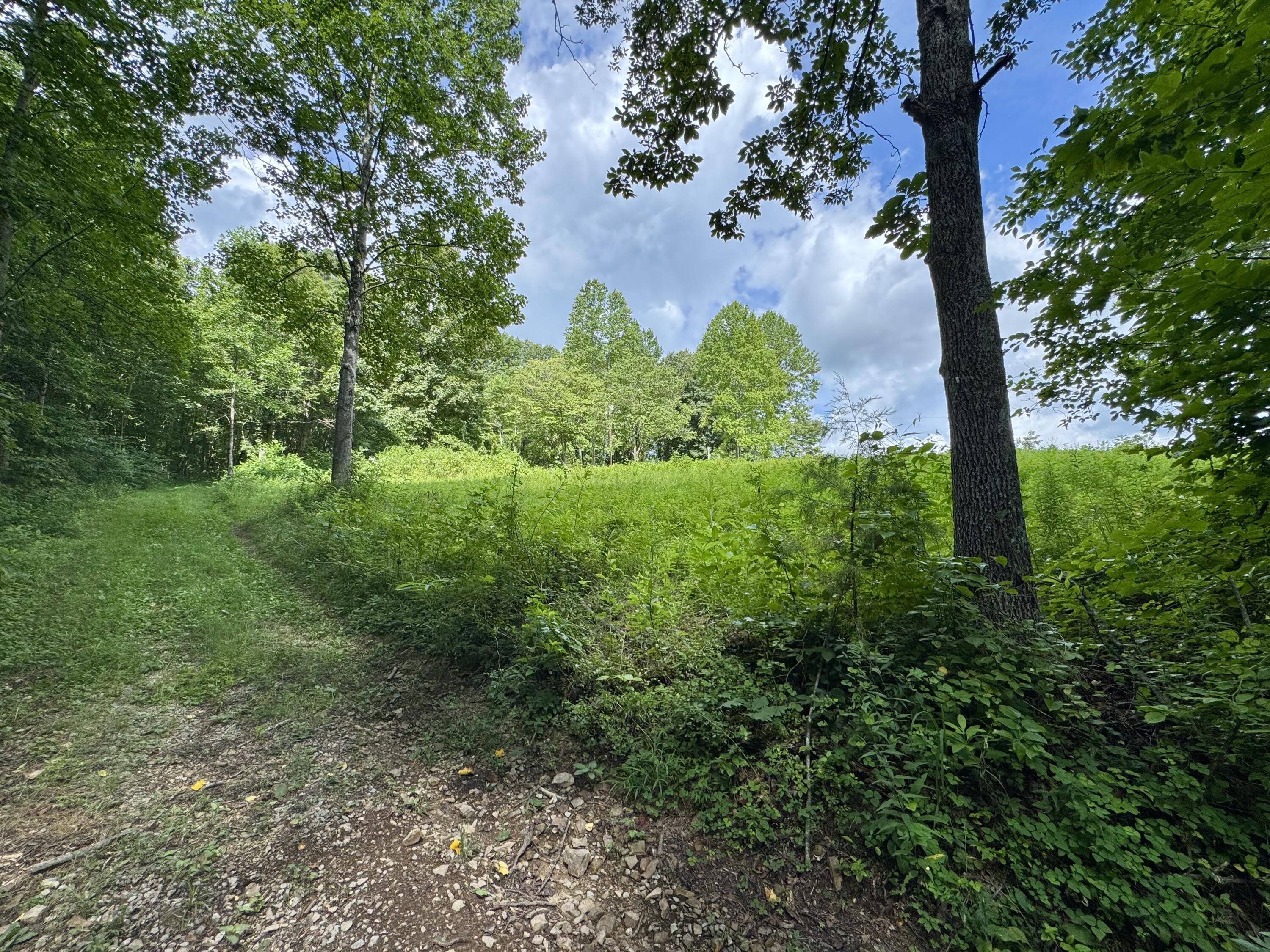 3280 Ewing Ridge Road Dunnville, KY 42528 - Photo 26 of 40 IMG_3993