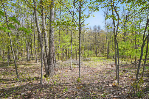 Lot 46 Post Road Bowdoinham, ME 04008 - Photo 7 of 9 photo_85814930-500x333