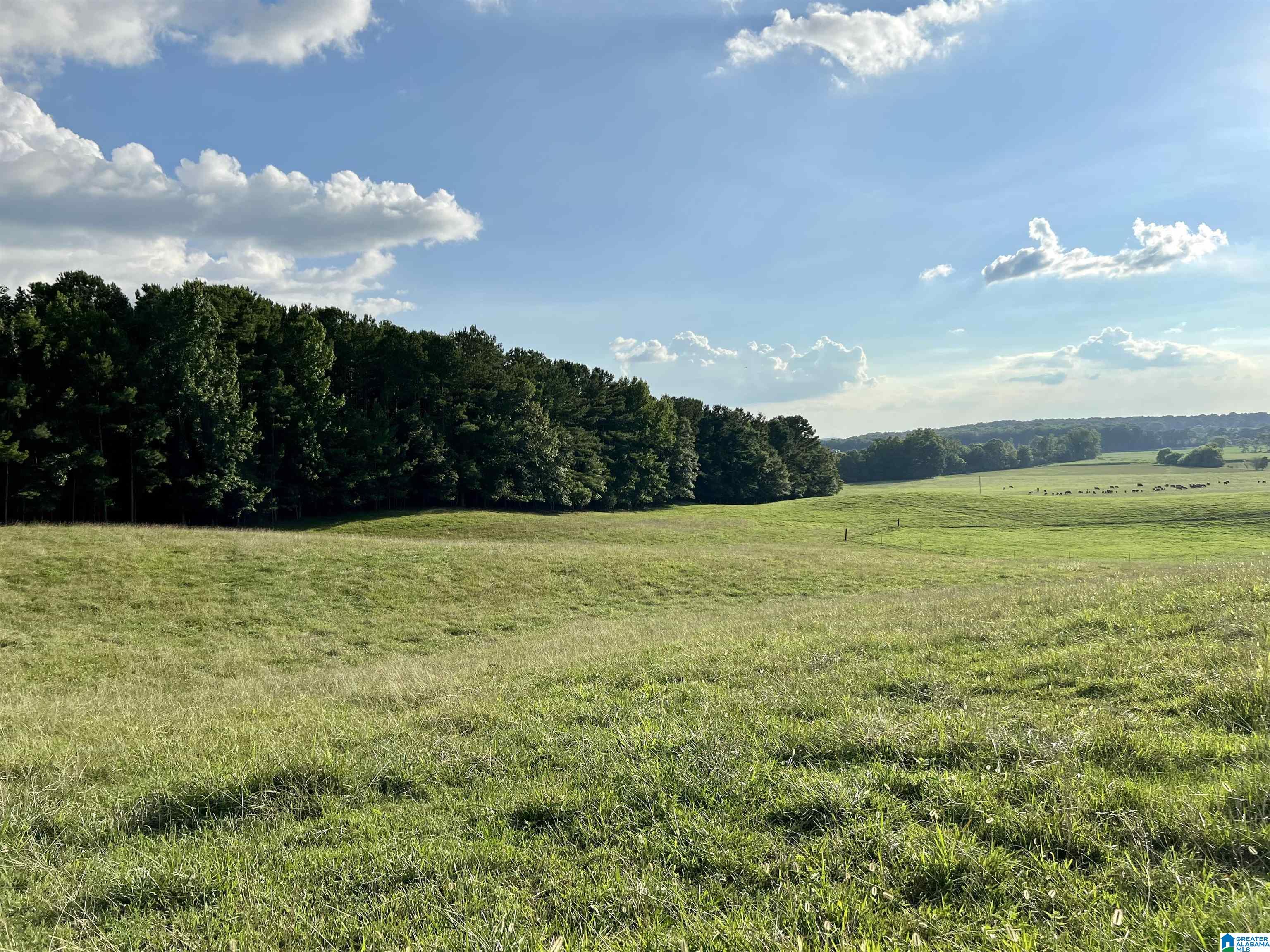 1515 Kelly Ranch Road, Unit 138 ACRES / Talladega, AL 35160 - Photo 41 of 42