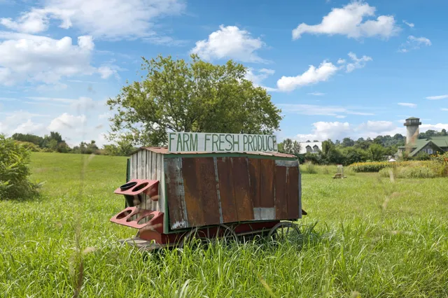 $999,999 | 102 Cardiff Dr Spring Hill North, Thompson's Station, TN 37179