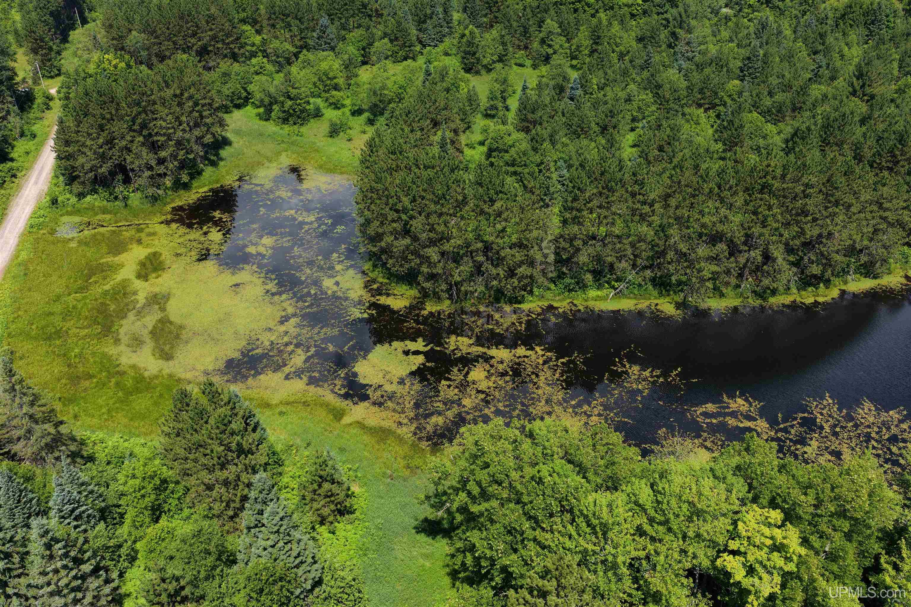 Tbd Peterson Road Nisula, MI 49952 - Photo 18 of 19 Gallery Image 18