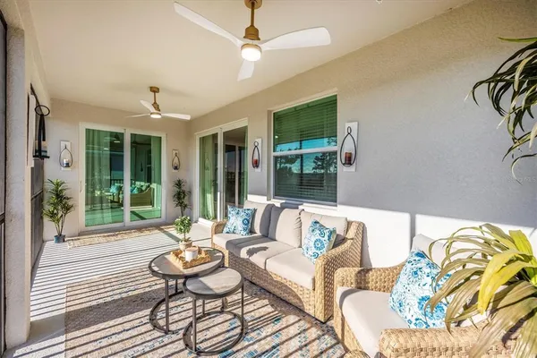 a view of a park with large trees