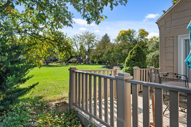 a view of yard with grass & street