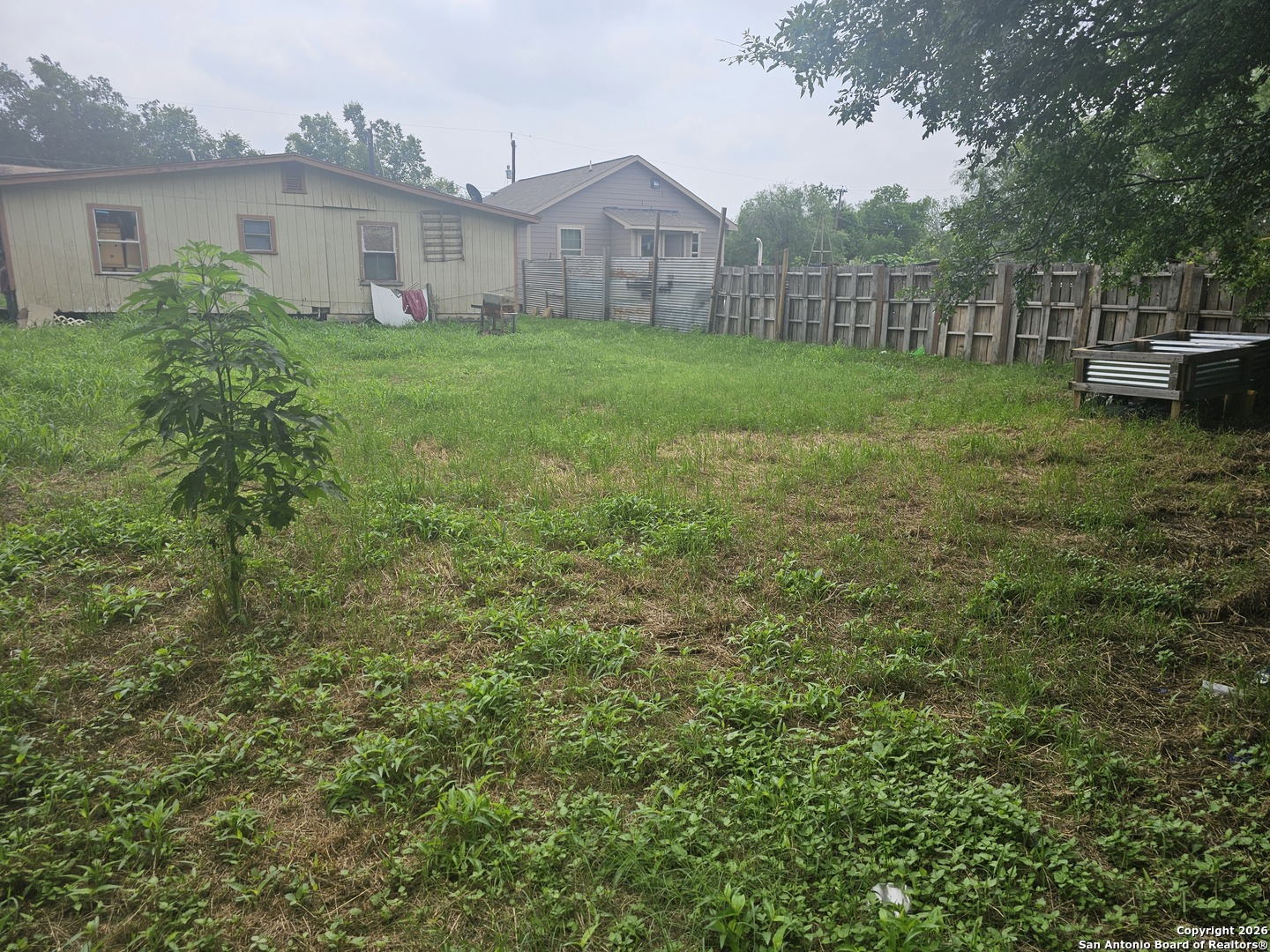 a view of a backyard with plants and wooden fence
