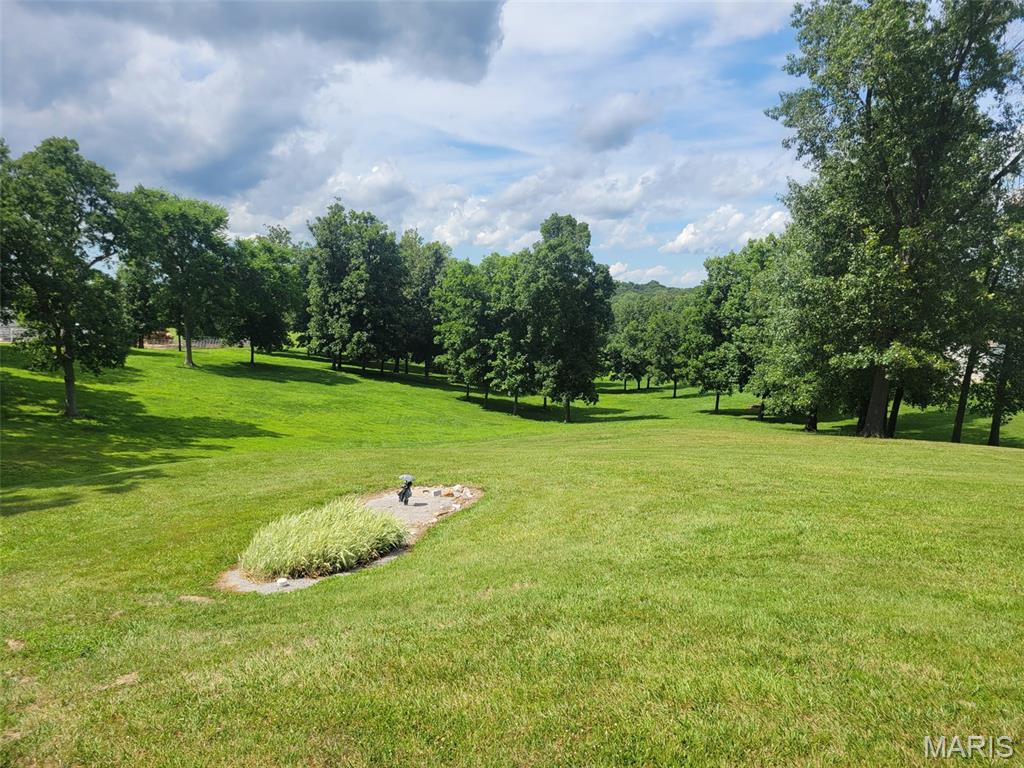 451 Birkhead Road Winfield, MO 63389 - Photo 43 of 48