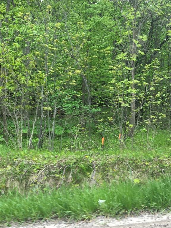 66773 Campground Road Washington, MI 48095 - Photo 3 of 11