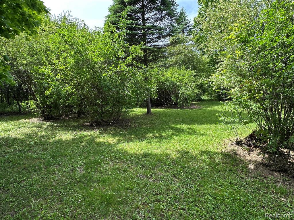 6161 East River Road Flushing, MI 48433 - Photo 59 of 63