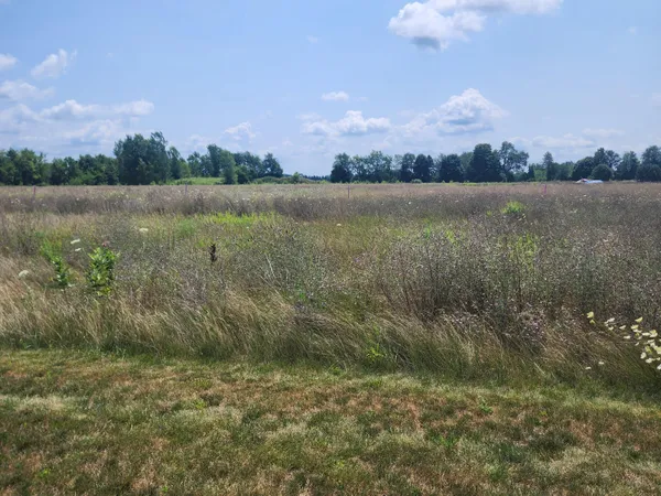 $580,000 | 3615 South State Road, Ionia, MI 48846