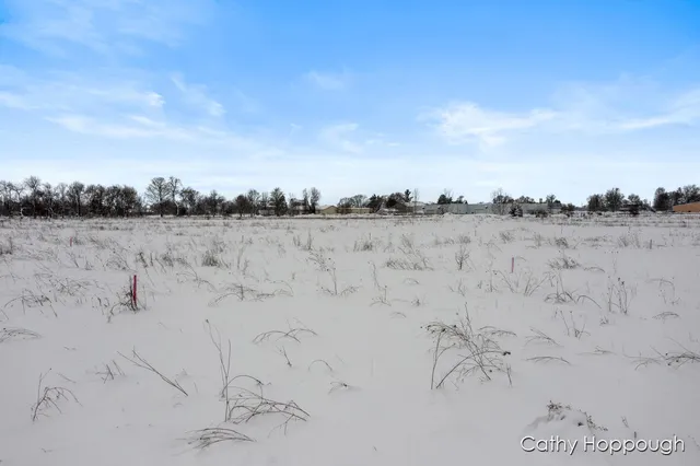 $580,000 | 3615 South State Road, Ionia, MI 48846