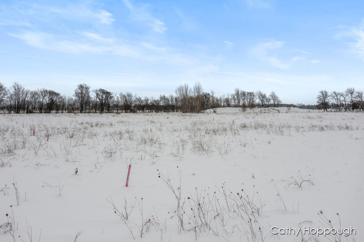 3615 South State Road Ionia, MI 48846 - Photo 12 of 25 IMG_1008