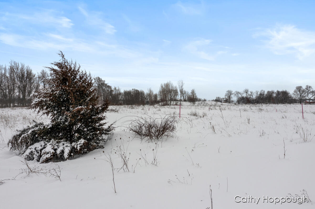 3615 South State Road Ionia, MI 48846 - Photo 14 of 25 IMG_1010