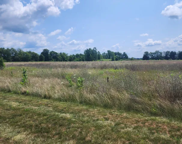 $580,000 | 3615 South State Road, Ionia, MI 48846