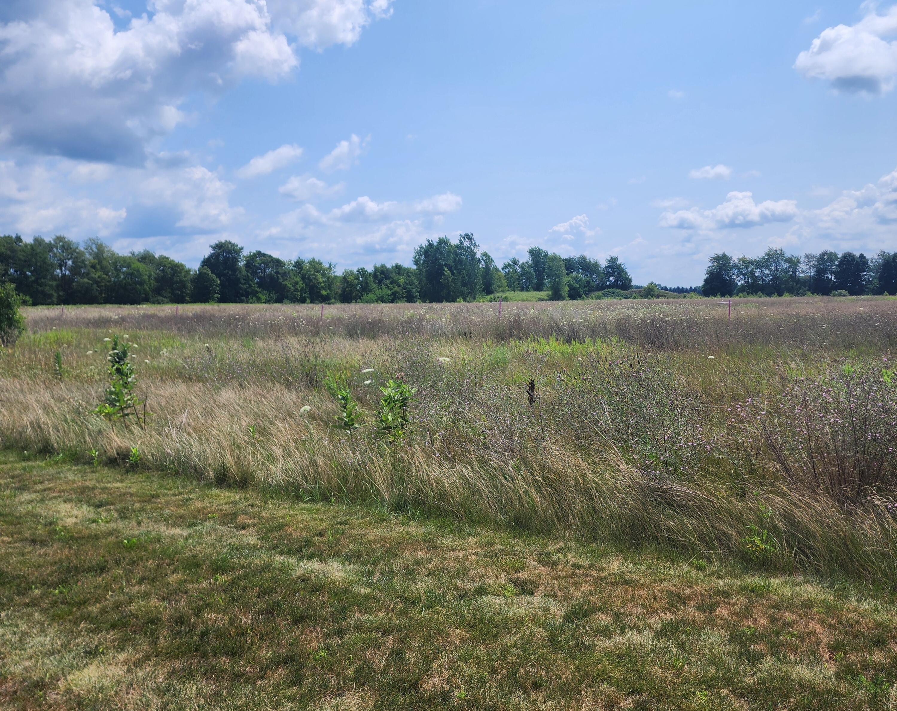 3615 South State Road Ionia, MI 48846 - Photo 2 of 25 1000009563