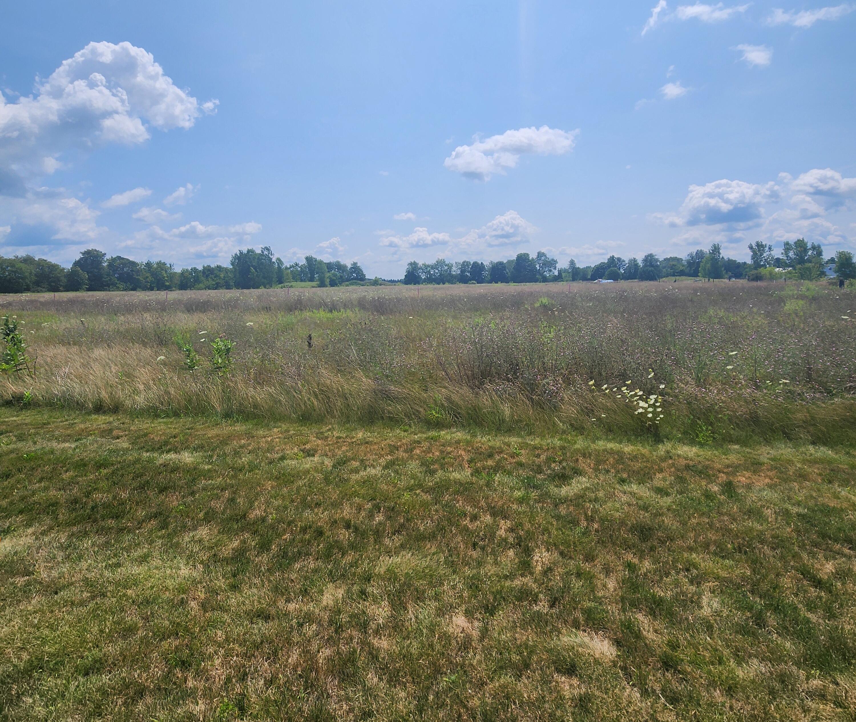 3615 South State Road Ionia, MI 48846 - Photo 3 of 25 1000009564