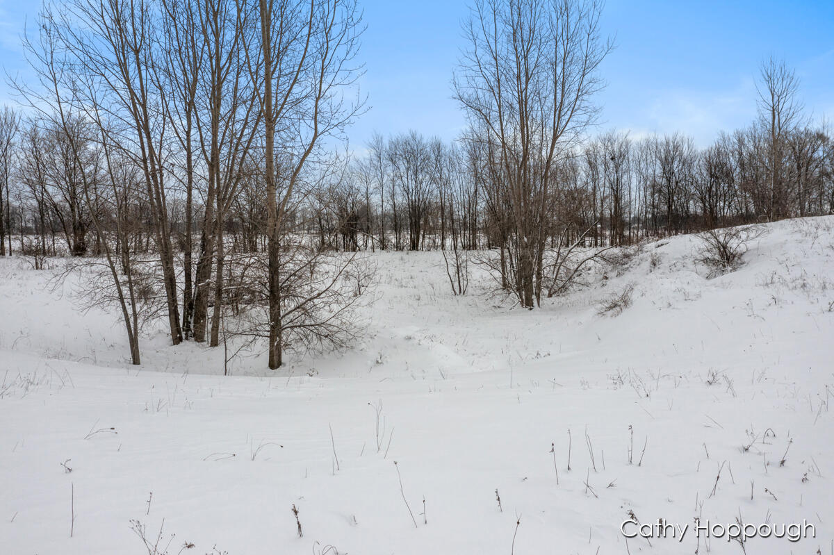 3615 South State Road Ionia, MI 48846 - Photo 7 of 25 IMG_1003