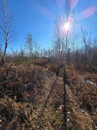 $229,000 | 6669 Little Marais Road, Silver Bay, MN 55614