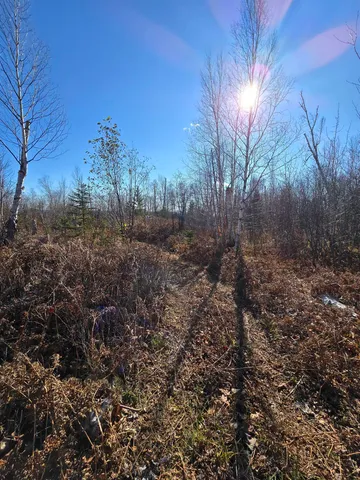 $229,000 | 6669 Little Marais Road, Silver Bay, MN 55614