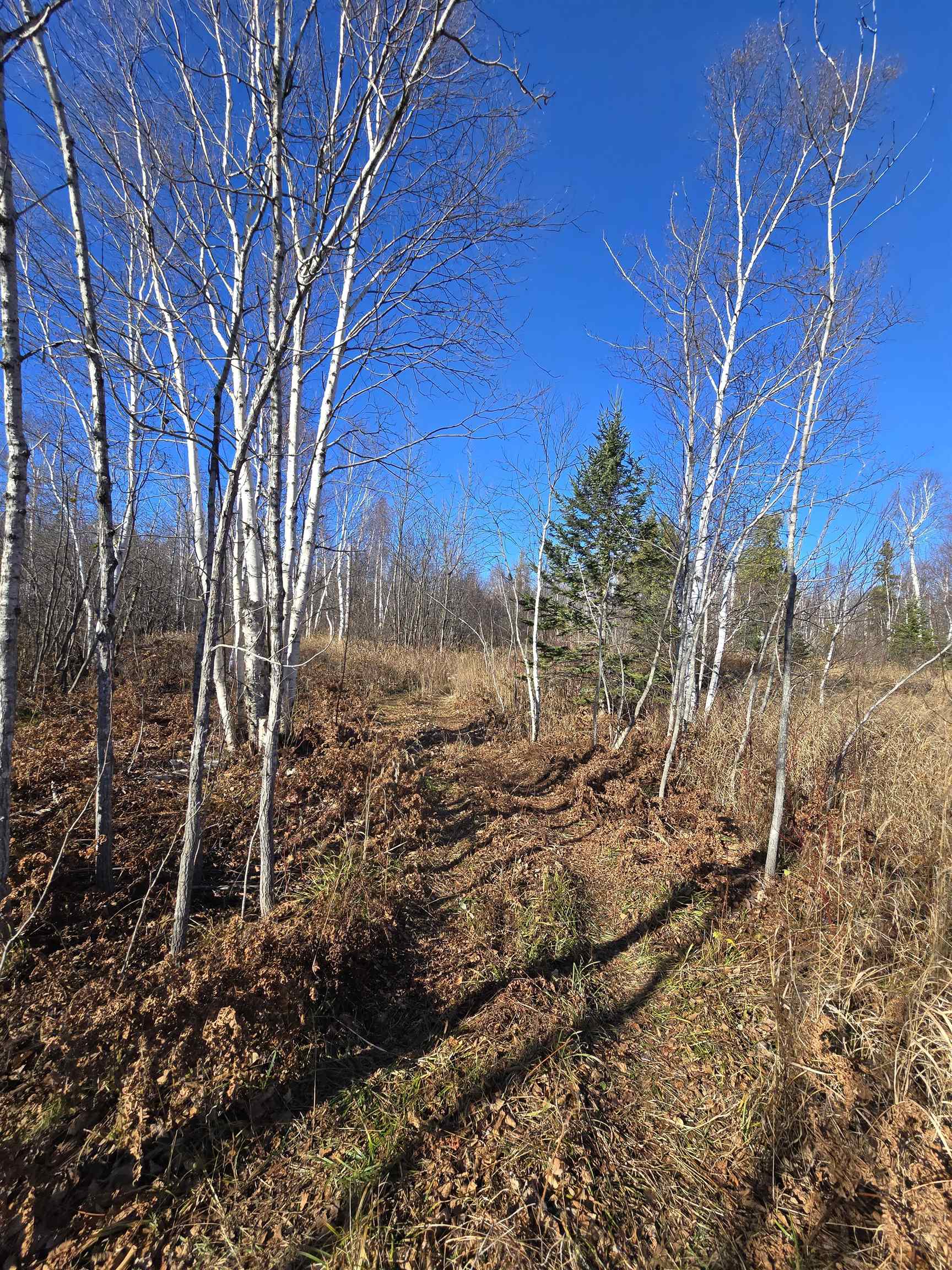 6669 Little Marais Road Silver Bay, MN 55614 - Photo 16 of 19