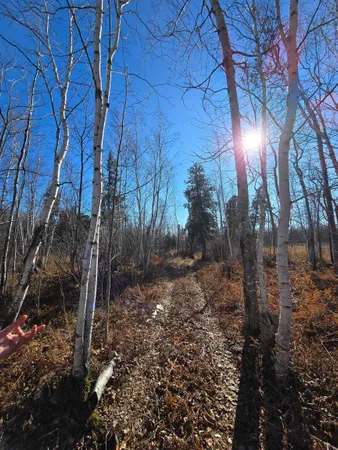 $229,000 | 6669 Little Marais Road, Silver Bay, MN 55614