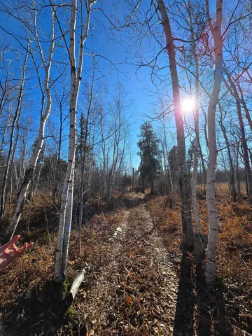 $229,000 | 6669 Little Marais Road, Silver Bay, MN 55614