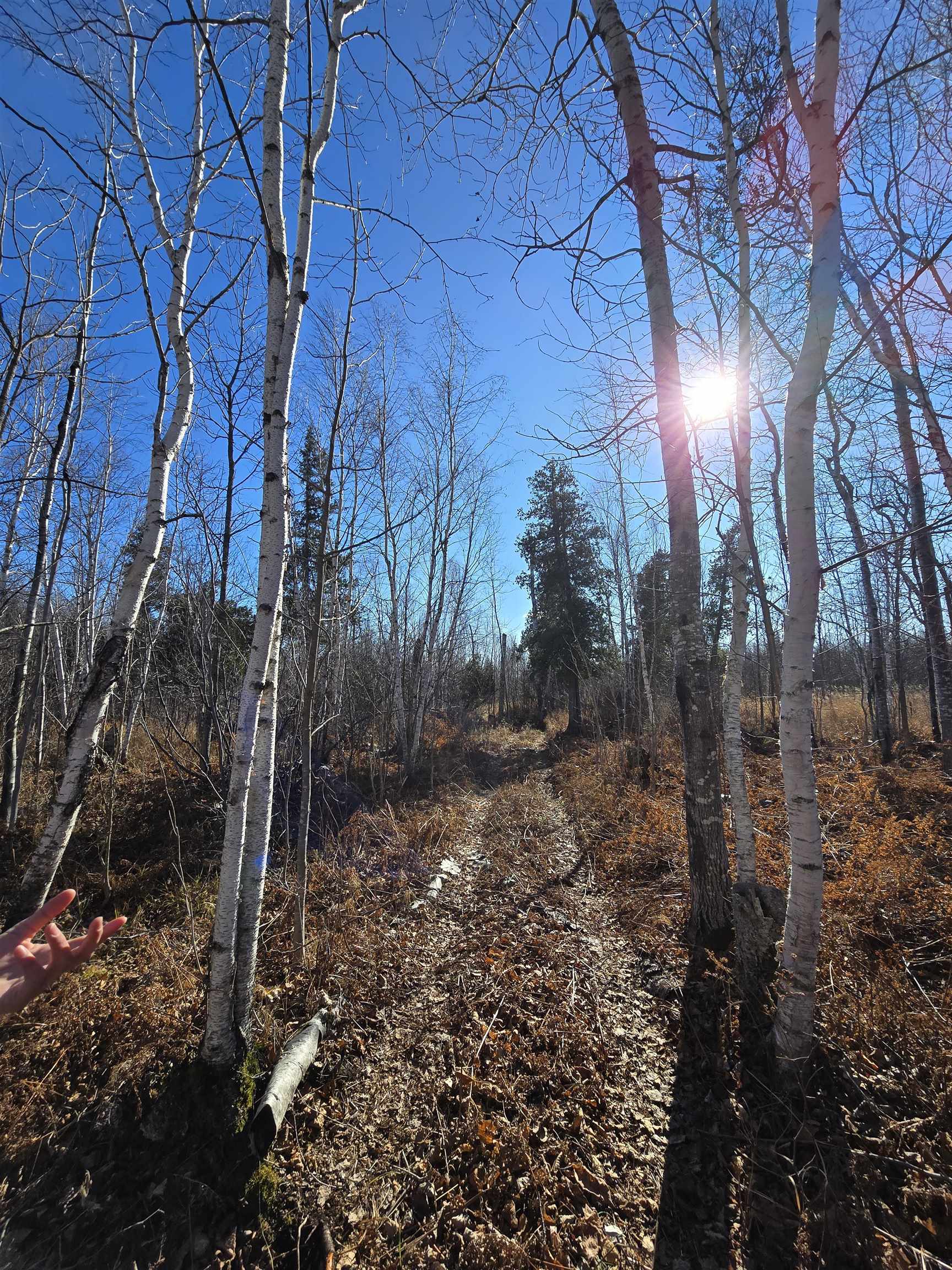6669 Little Marais Road Silver Bay, MN 55614 - Photo 17 of 19