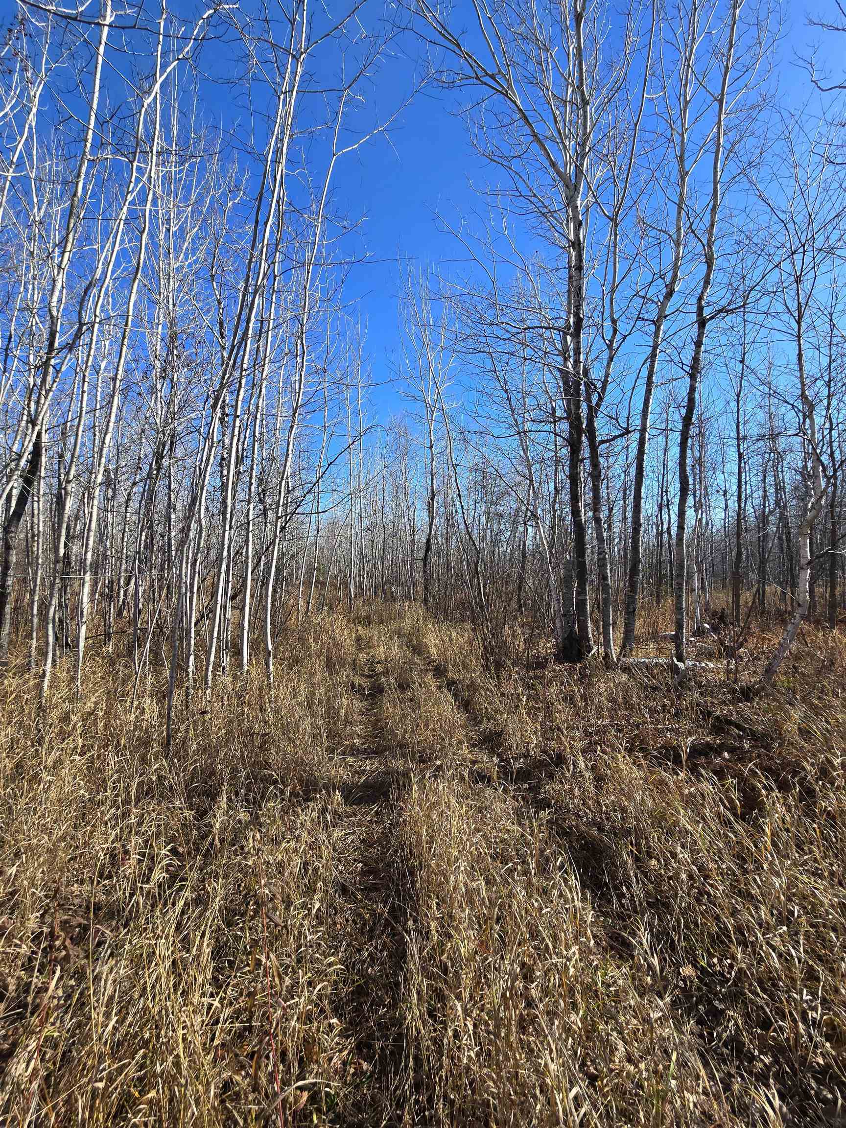 6669 Little Marais Road Silver Bay, MN 55614 - Photo 18 of 19