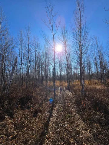 $229,000 | 6669 Little Marais Road, Silver Bay, MN 55614