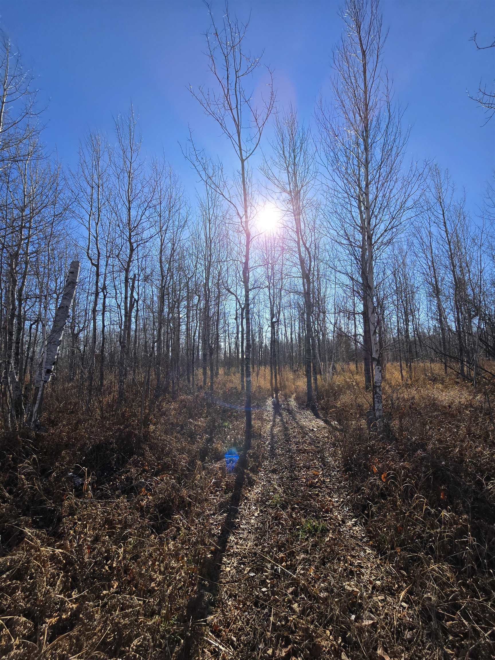 6669 Little Marais Road Silver Bay, MN 55614 - Photo 19 of 19