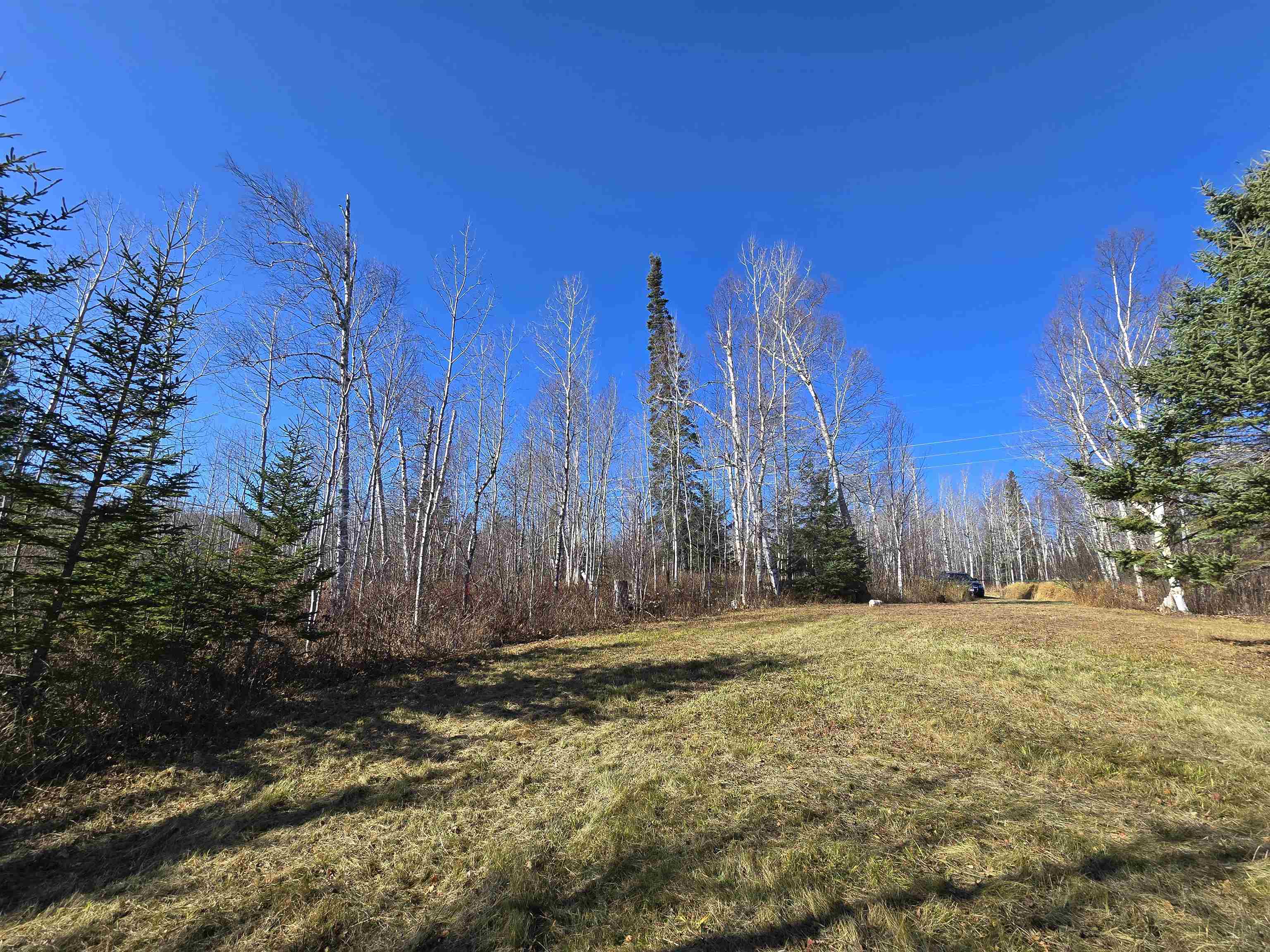 6669 Little Marais Road Silver Bay, MN 55614 - Photo 7 of 19