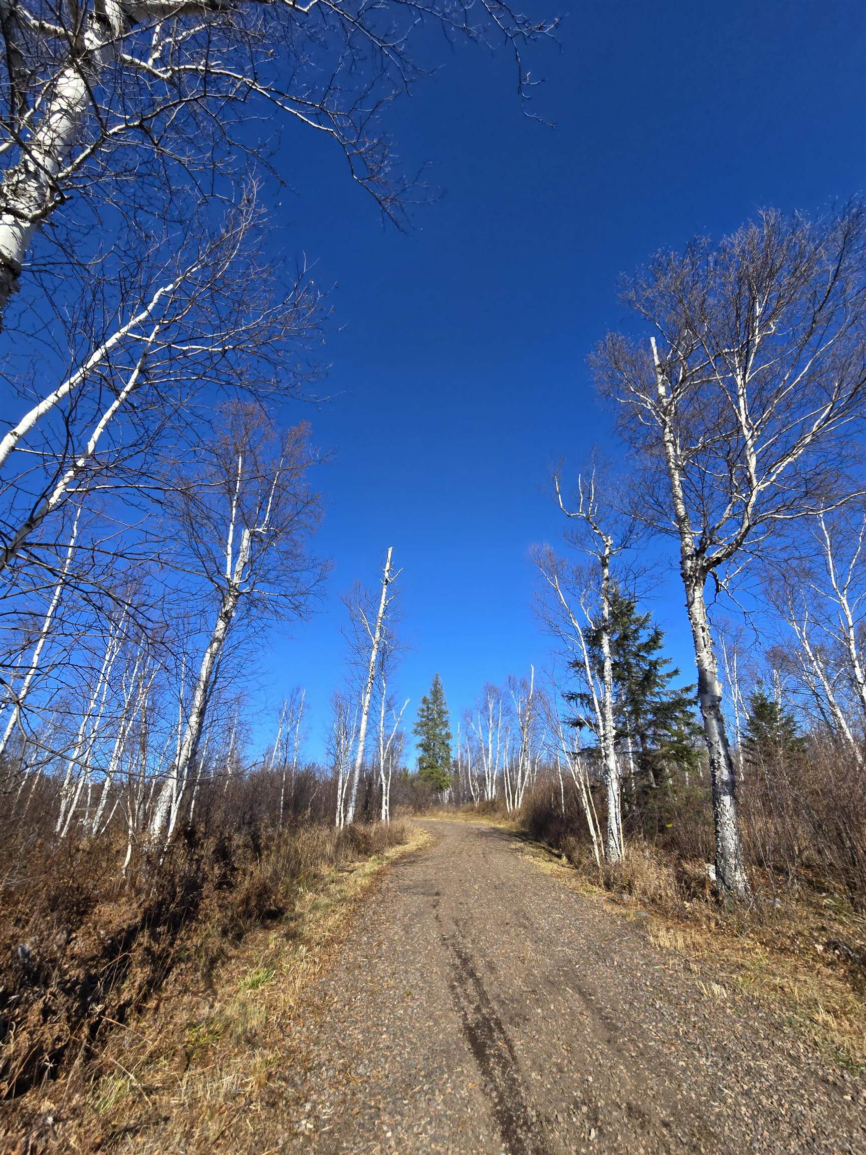 6669 Little Marais Road Silver Bay, MN 55614 - Photo 9 of 19