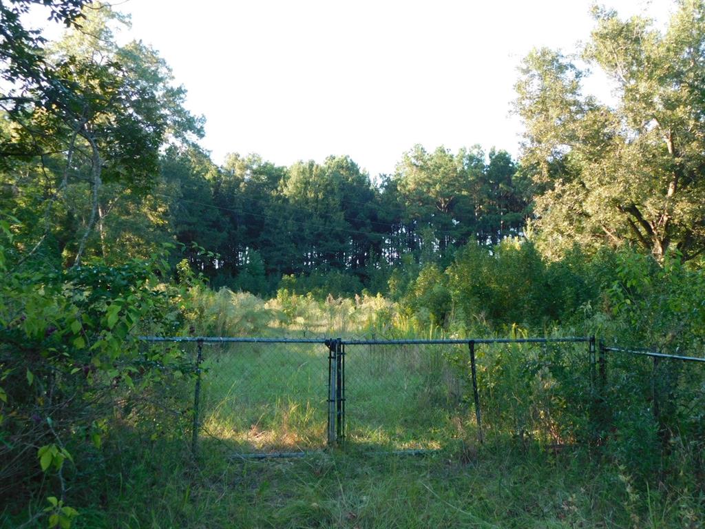 2600 Columbia 21 Road Taylor, AR 71861 - Photo 2 of 15 View of yard with view of scattered trees