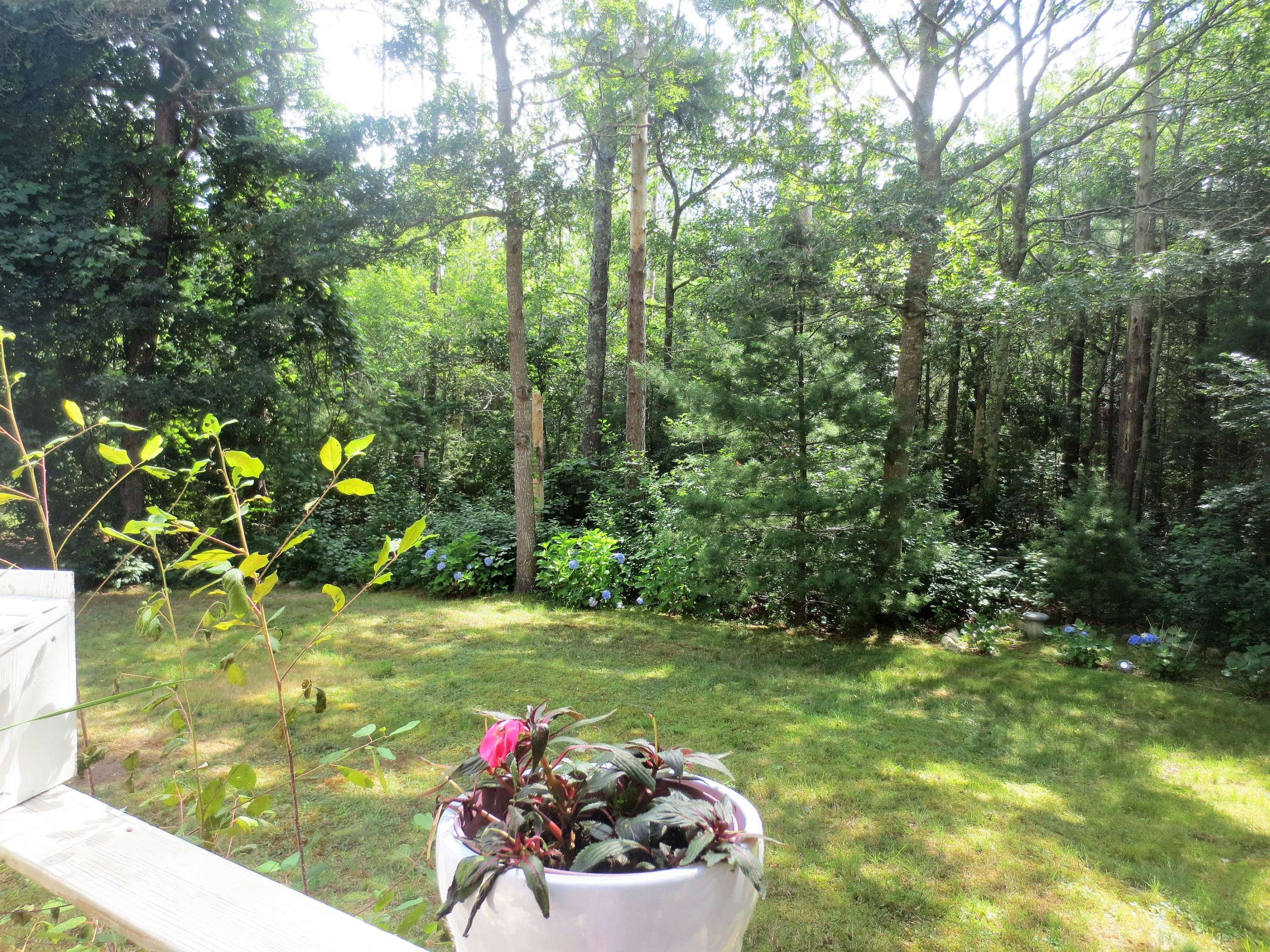 156 Braley Jenkins Road Centerville, MA 02632 - Photo 8 of 33 a view of a wooden floor with a yard
