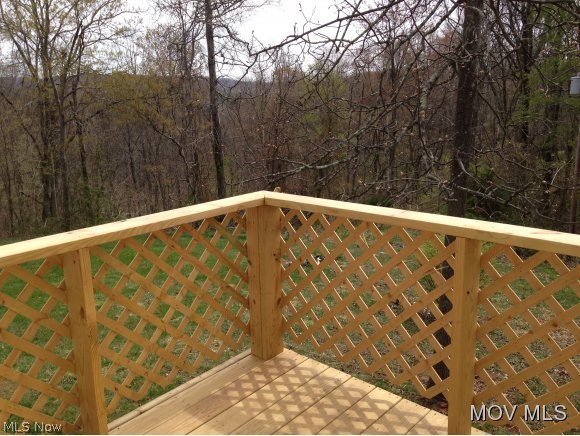 8072 Walker Road Walker, WV 26180 - Photo 13 of 15 Side deck and woods