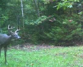 0 Plains Road Liberty, ME 04949 - Photo 19 of 37 IMG_6661