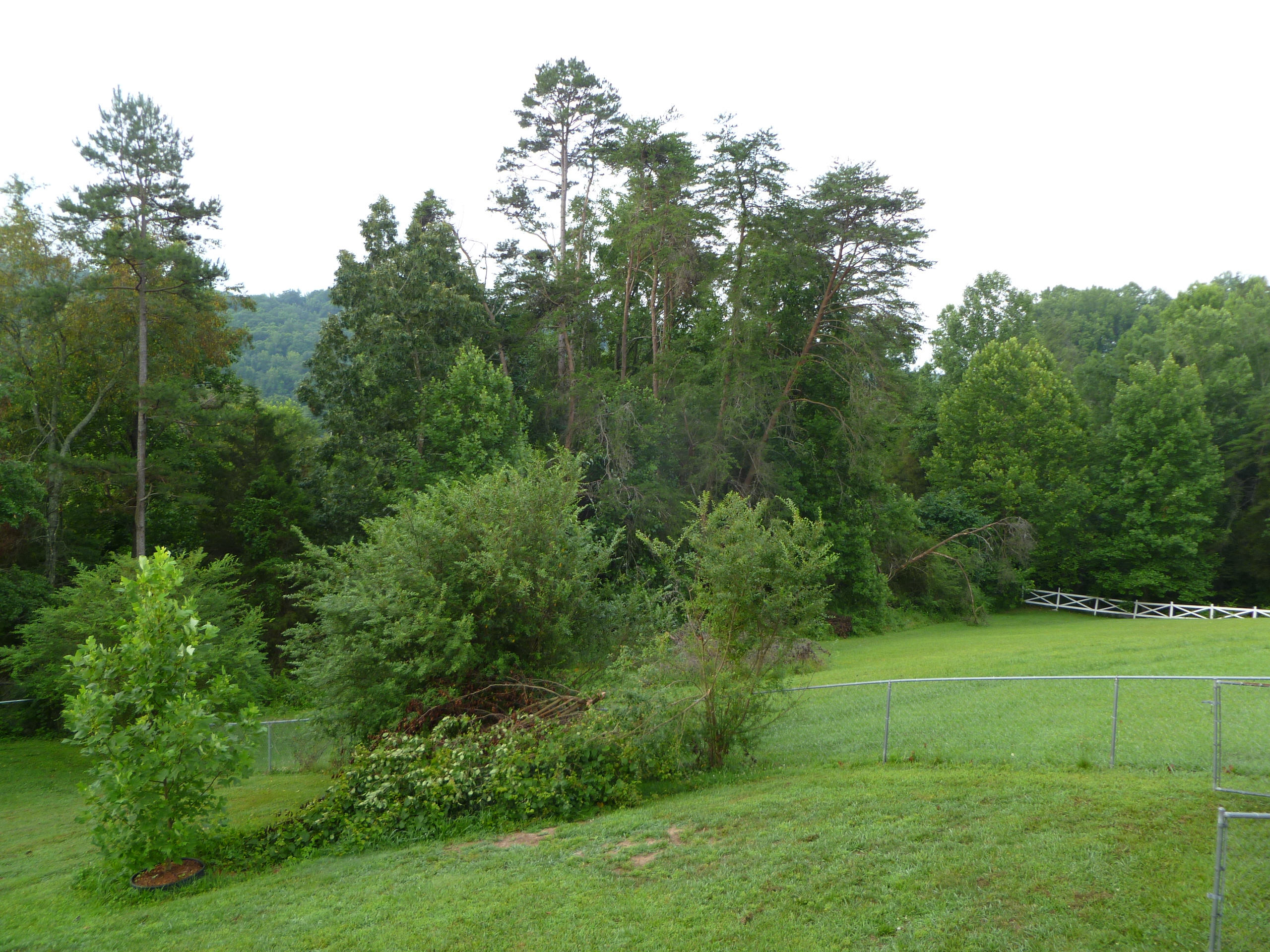 154 Walden Ridge Road Clinton, TN 37716 - Photo 36 of 38 P1050821