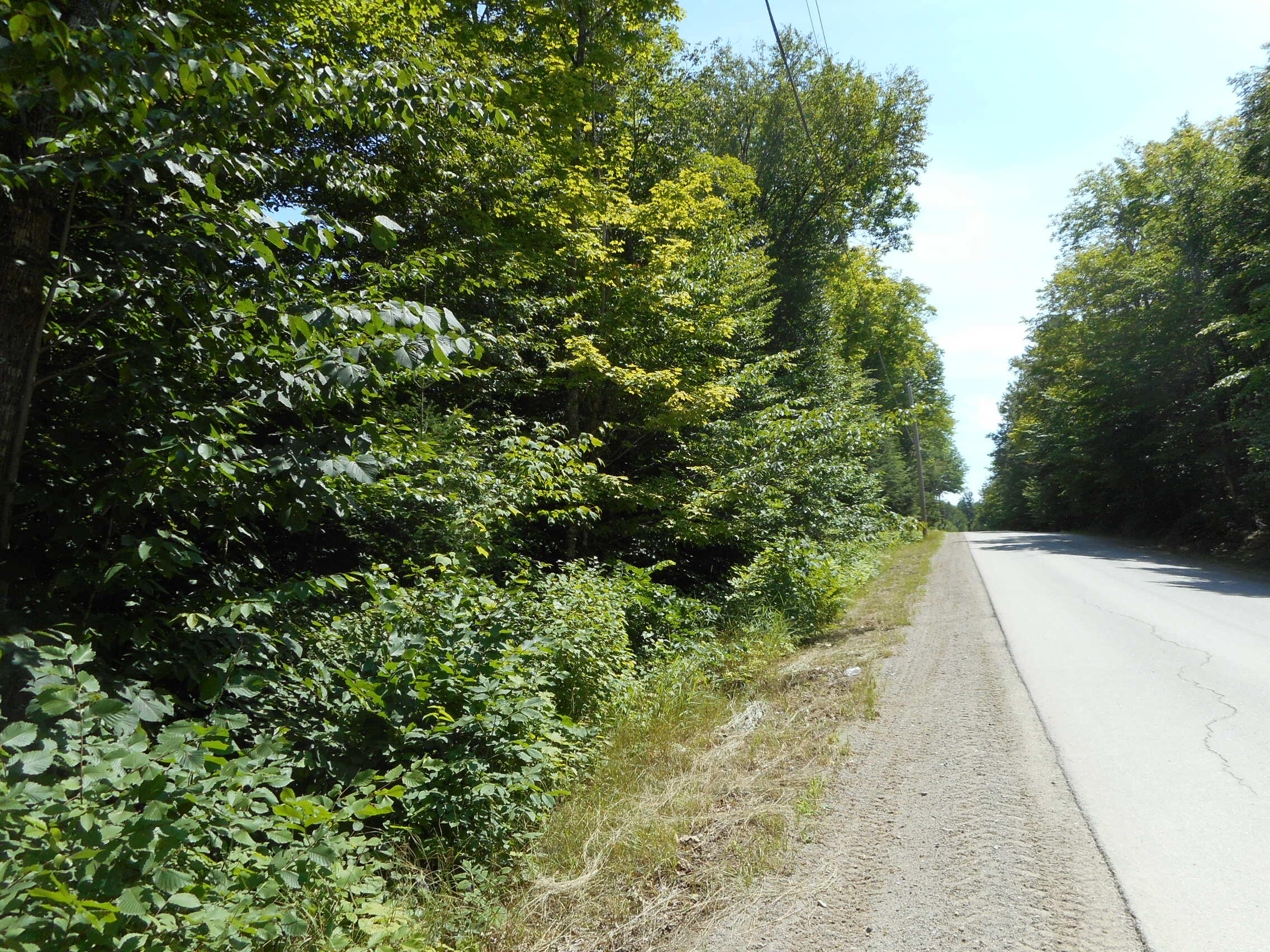 Tbd Skunk Hill Road Lee, ME 04455 - Photo 1 of 8 DSCN3011