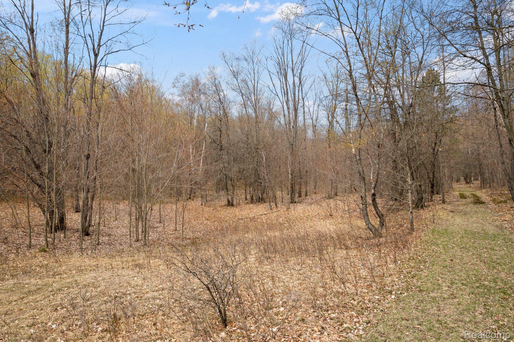 8491 East Long Lake Road Harrison, MI 48625 - Photo 35 of 71 Gallery Image 35
