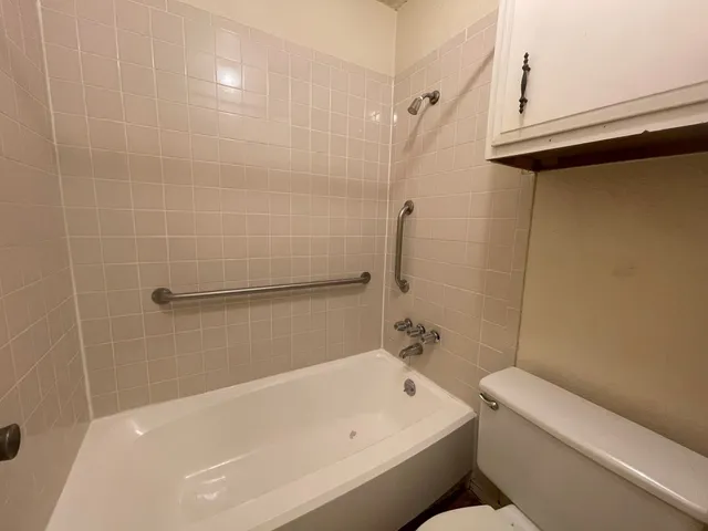 a bathroom with a toilet and a bathtub